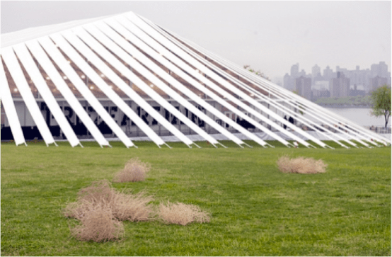 Frieze Projects NY 2012