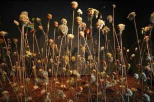 Oscar Villamiel, Payatas (2012)